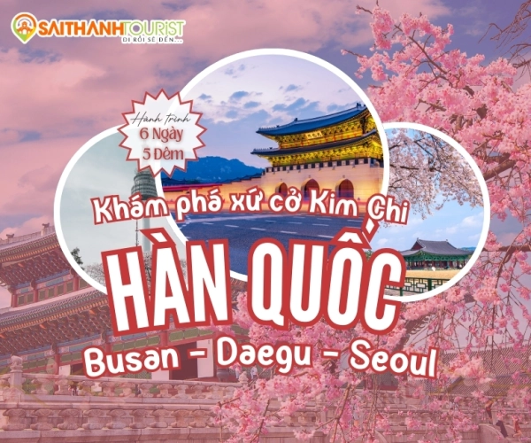han-quoc-busan-daegu-seoul